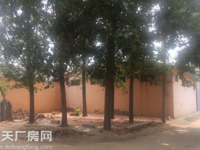 济南历城周边 省道旁 厂房 800平米 仓库干净 可生产图3