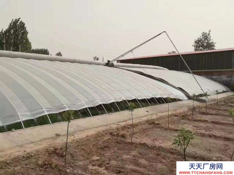 石家庄长安温室大棚，果树园，羊圈牛棚鸡舍等