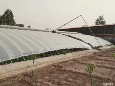 石家庄长安温室大棚，果树园，羊圈牛棚鸡舍等图1