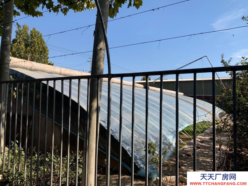 石家庄长安温室大棚，果树园，羊圈牛棚鸡舍等