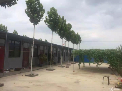 石家庄长安温室大棚，果树园，羊圈牛棚鸡舍等图2