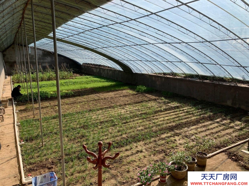 石家庄长安温室大棚，果树园，羊圈牛棚鸡舍等
