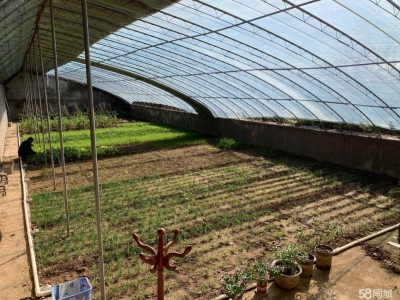 石家庄长安温室大棚，果树园，羊圈牛棚鸡舍等图4