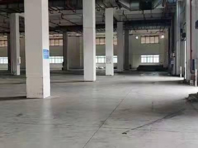 重庆江北寸滩5000方标准仓库带空坝可分租图1