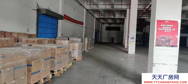 重庆江北寸滩5000方标准仓库带空坝可分租