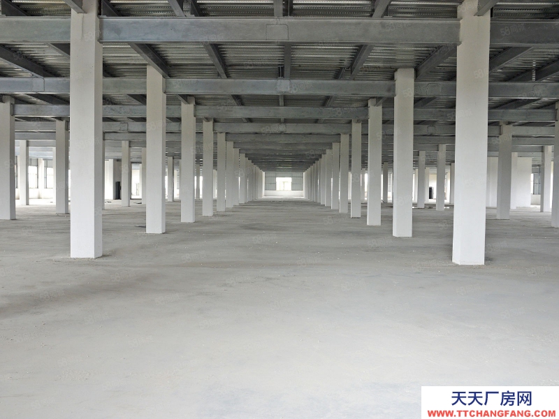 (出租)广州白云库房送免租期，随租随退高标仓外贸装柜大货临租
