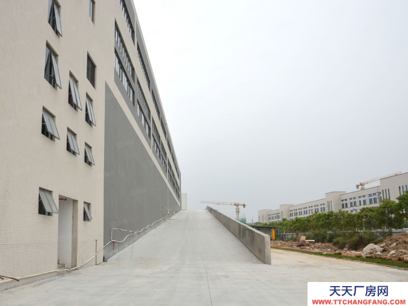 (出租) 广州白云独院7万方库房，仓库招租，环氧地坪带雨棚，快消品仓储托管