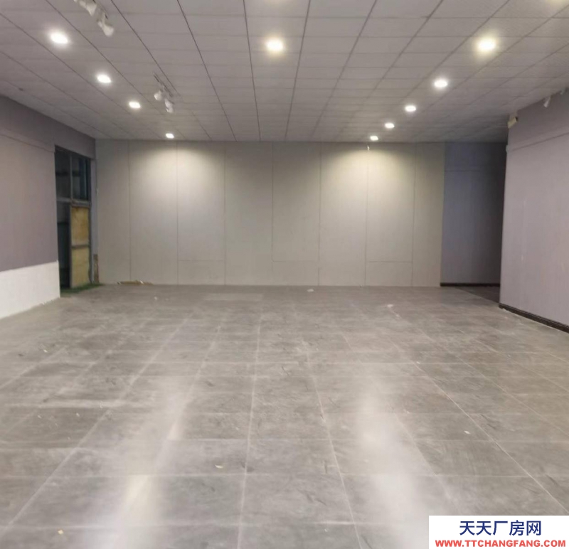石家庄长安【460平可分割】精装装修仓库 直播间库房 可办公 仓储