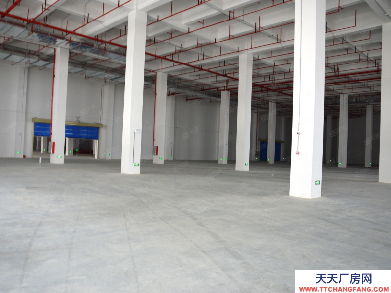 (出租) 广州白云丙二类物流仓储，独院7万方仓库，分割出租，租期灵活提供托管