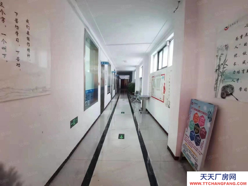 石家庄桥西区 新华西路 办公楼 独院 出租