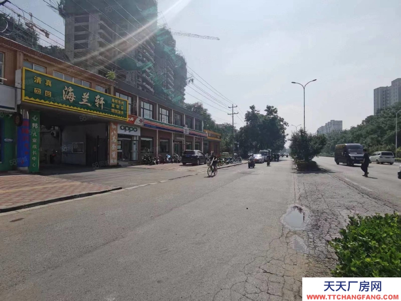 石家庄桥西区 新华西路 办公楼 独院 出租