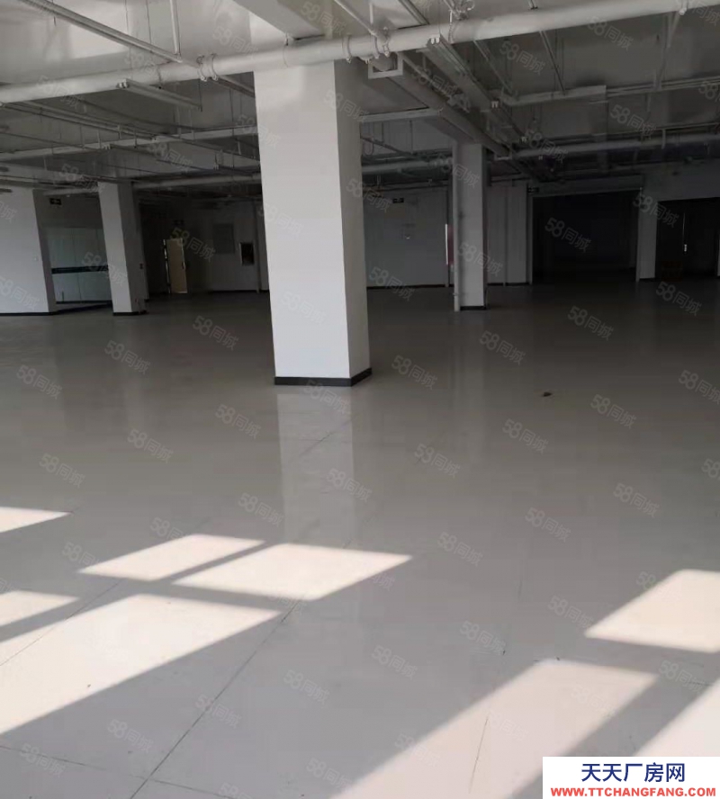 石家庄桥西龙凤湖景区，独栋带院，单层，多层，独栋厂房定制，交通便捷