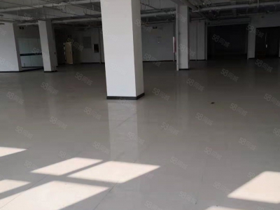 石家庄桥西龙凤湖景区，独栋带院，单层，多层，独栋厂房定制，交通便捷图2