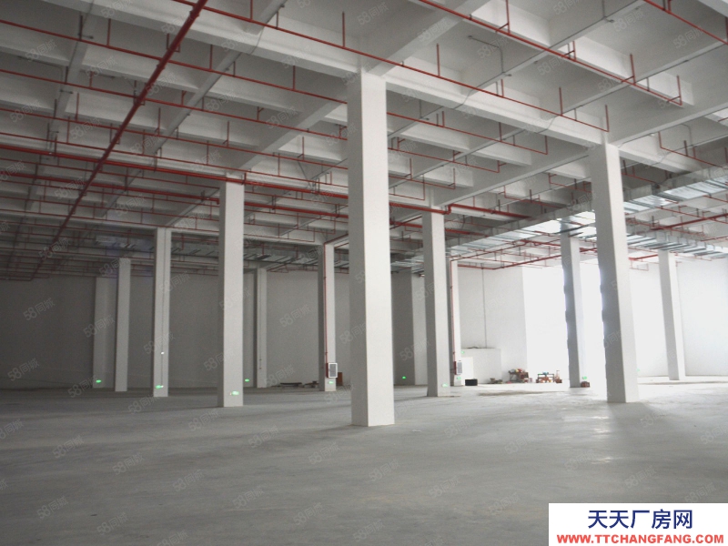 (出租)广州白云 物流仓库，分割58平起租，B2B一件代发，托管常温仓