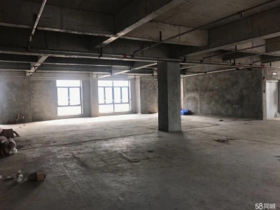 重庆渝中区菜园坝外滩摩配商场库房。图1
