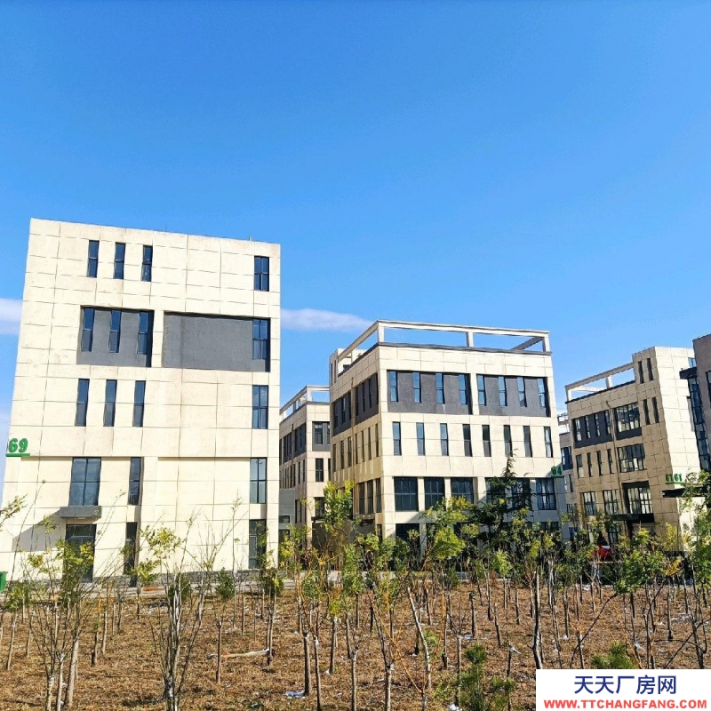 石家庄桥西独栋1600平 | 出租出售