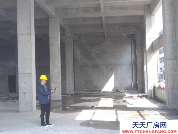 武汉江岸(出售) 雄新产业园即将交房，带单独卫生间和电梯，每层可办证