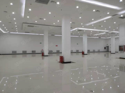 石家庄桥西军鼎科技园龙凤湖景区，独栋带院，单层独栋厂房定制，交通便捷图7