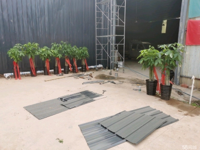 南宁市东村8元一月集体厂房出租图3