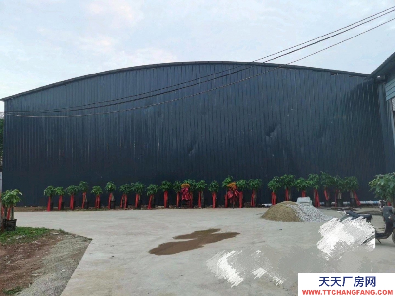 南宁市东村8元一月集体厂房出租