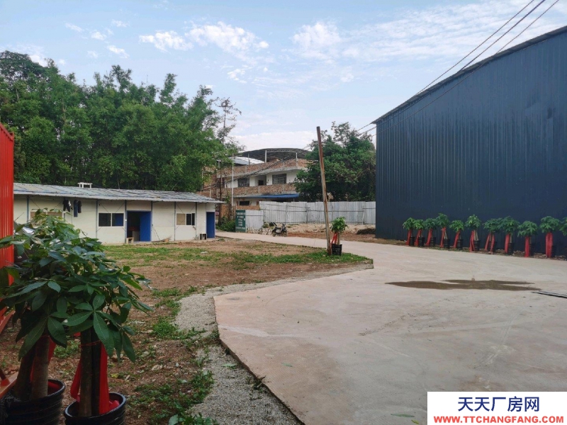 南宁市东村8元一月集体厂房出租