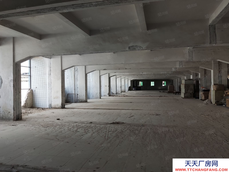(出租) 广州荔湾业主直租！4500方厂房可以自由分割，灵活多变，采光好！