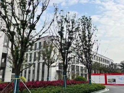 (出租) 出租 开发商直租无中介图1