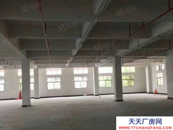 武汉江岸(出租) 1楼至3楼 临街仓库 好进出 可分租 面积自由选择 房东分割