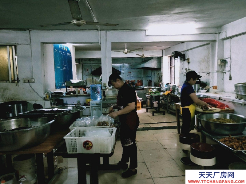 南宁市青秀区出租村集体土地，目前为本人承包管理。