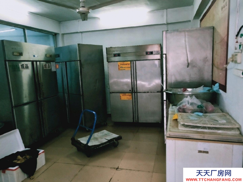 南宁市青秀区出租村集体土地，目前为本人承包管理。