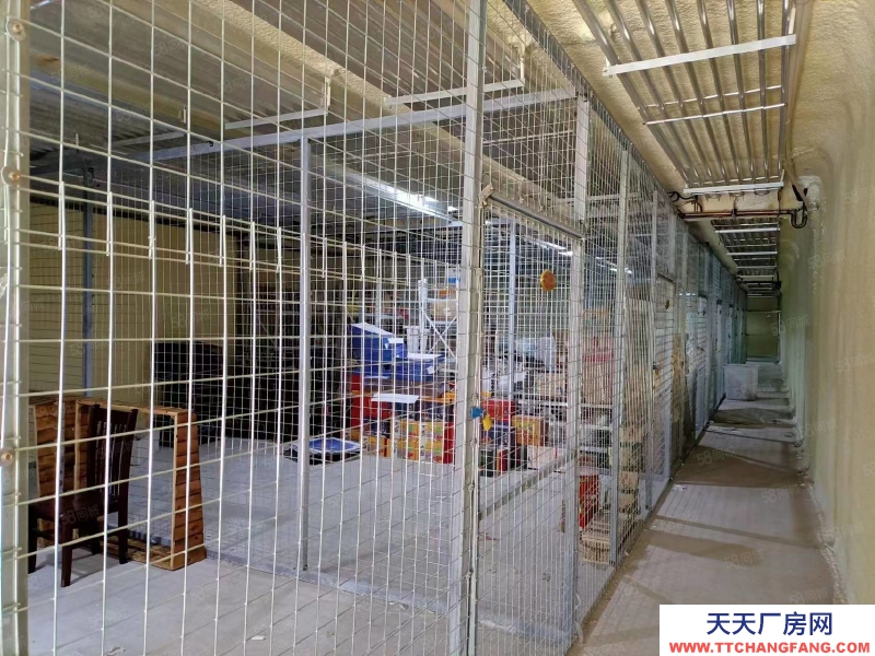 石家庄桥西区 胜利南街元南路 冷库出租转让