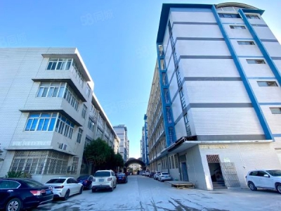 武汉江汉(出租) 一楼直租汉口北电商产业园仓库出租厂房招租大小都有可分租图2