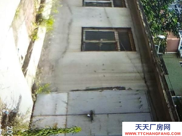 石家庄桥西交通便利，价格优惠，水电齐全