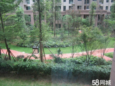 南宁市青秀区凤岭北出租荣和大地二组团3-B-202房图5