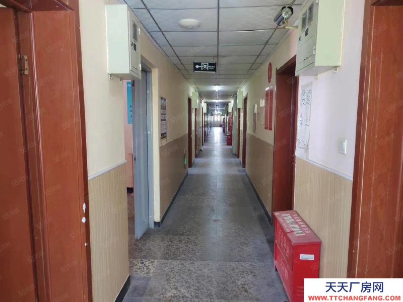石家庄新华区学府路经贸大学附近独栋独院办公楼公寓出租