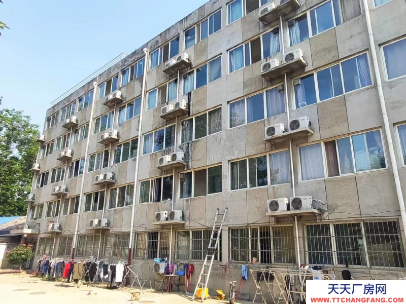 石家庄新华区学府路经贸大学附近独栋独院办公楼公寓出租