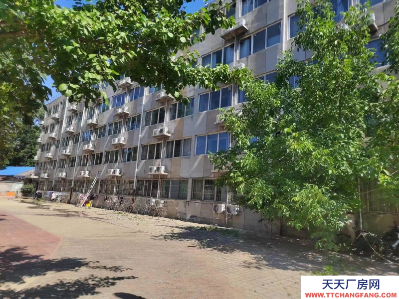 石家庄新华区学府路经贸大学附近独栋独院办公楼公寓出租