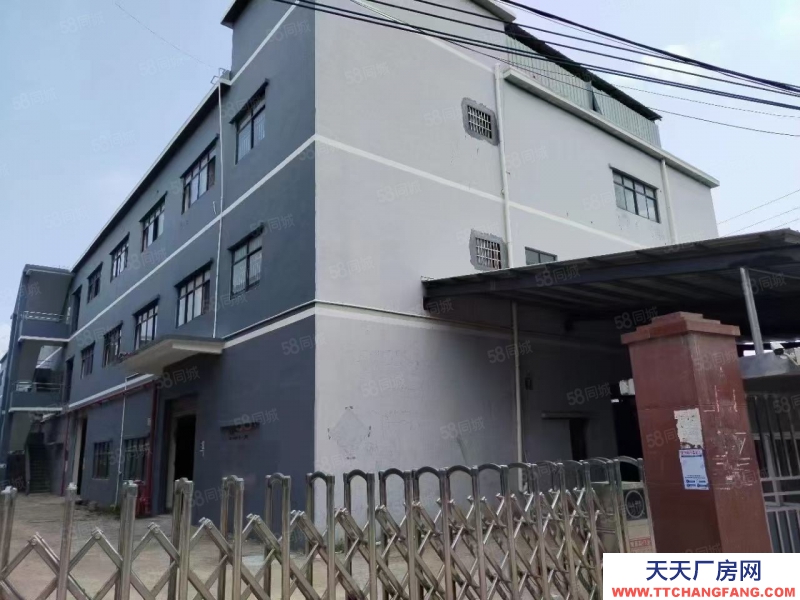 (出租) 广州荔湾沙湖原房东，独门独院厂房5300方，200平起租，水电齐全。