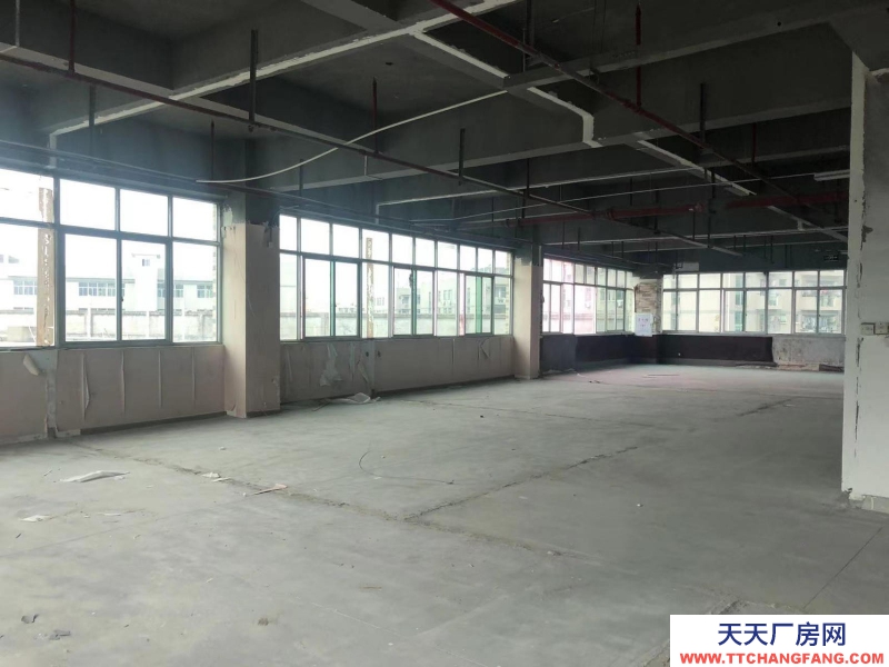 (出租) 福州仓山区房东直租 送超大露台 有客梯货梯 适合办公+仓储或展厅