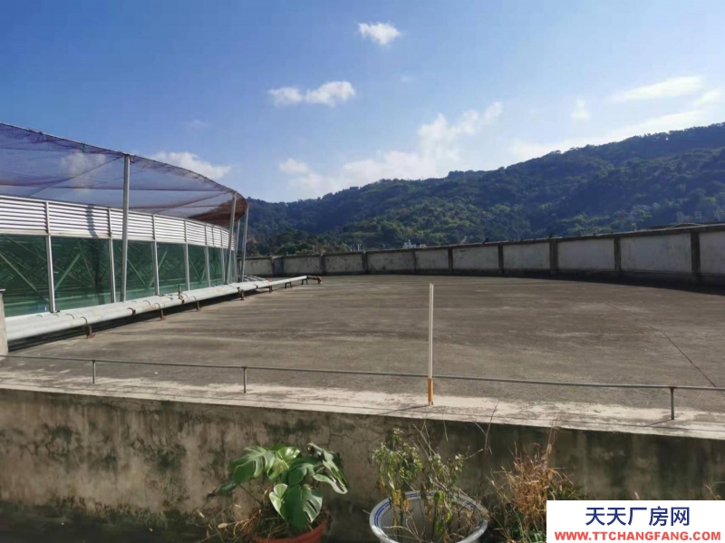 (出租) 福州仓山区房东直租 送超大露台 有客梯货梯 适合办公+仓储或展厅