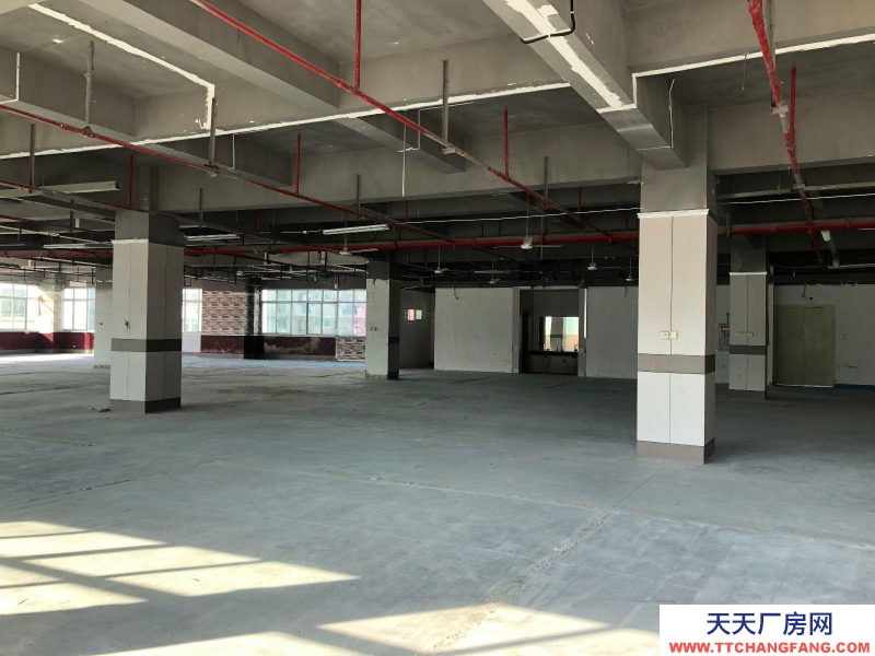 (出租) 福州仓山区房东直租 送超大露台 有客梯货梯 适合办公+仓储或展厅