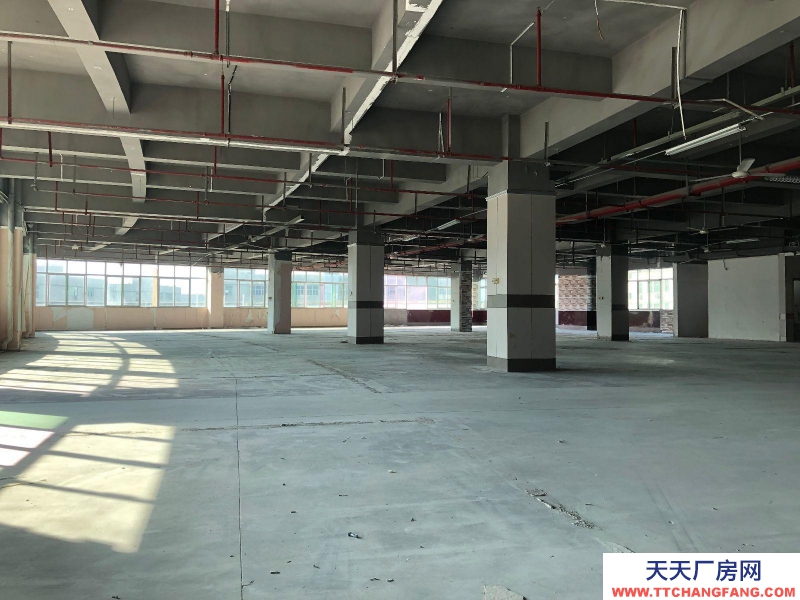 (出租) 福州仓山区房东直租 送超大露台 有客梯货梯 适合办公+仓储或展厅