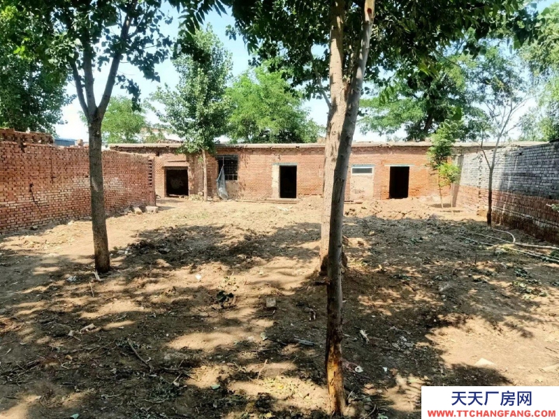 石家庄新华出租500平空地一处 三间房屋