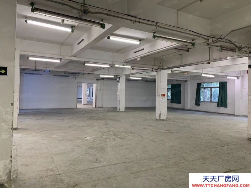 (出租) 荔湾区芳村龙溪大道厂房仓库出租