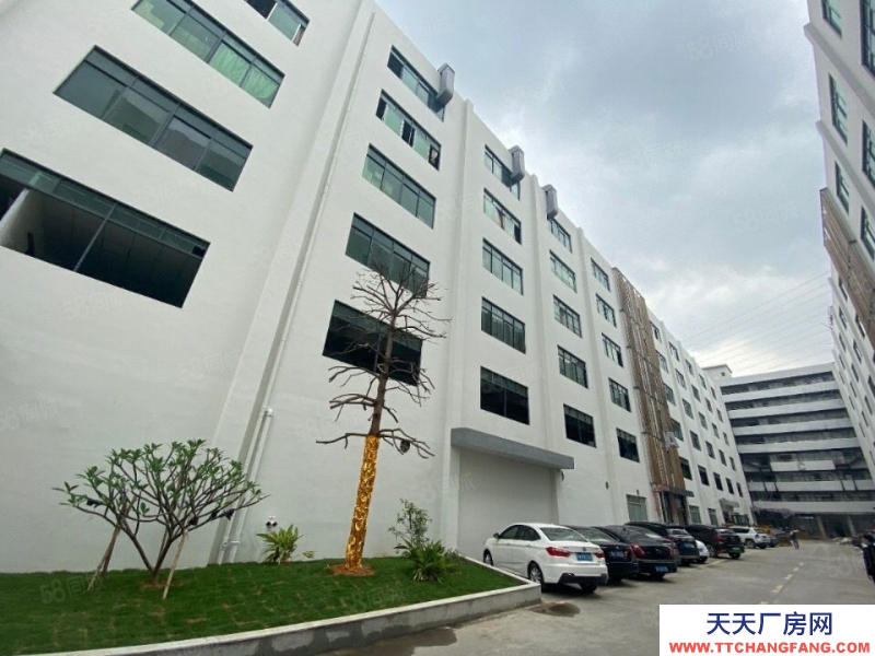 (出租) 荔湾区芳村石围塘厂房仓库出租