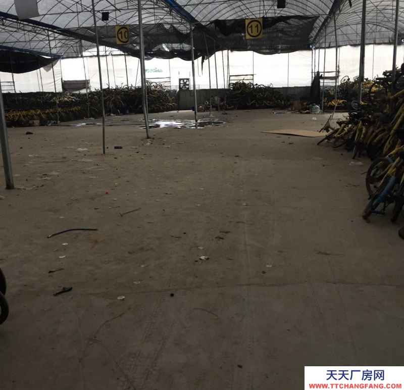 (出租) 荔湾芳村龙溪大道仓库1000方出租