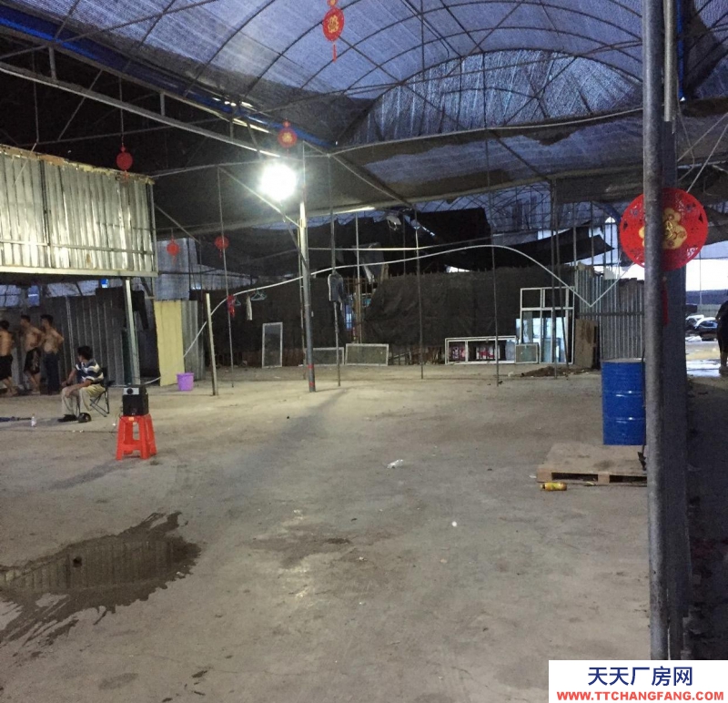 (出租) 荔湾芳村龙溪大道仓库1000方出租