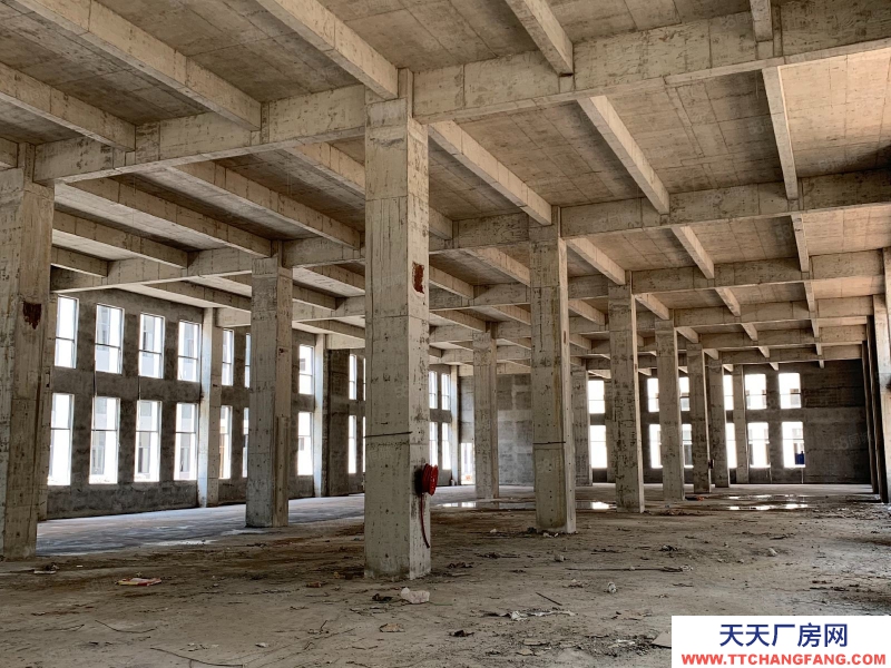 (出售)荔湾 临广州南站，现楼4600方独栋！！国有厂权！赠送独栋冠名权
