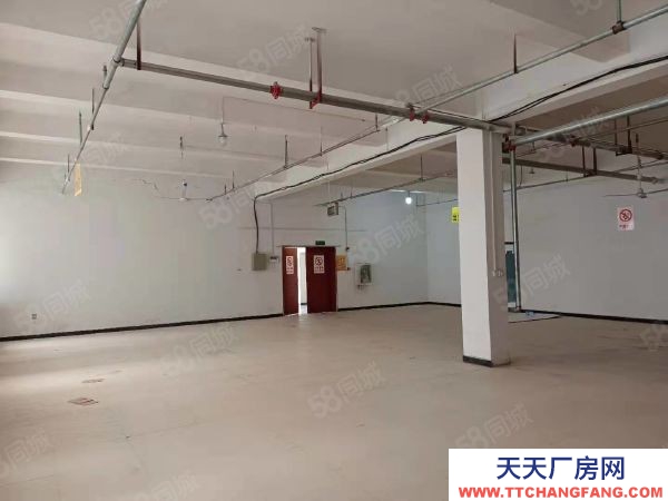 武汉江汉(出租) 漂亮仓储出租，300平米，24元业主直租，三楼电梯口