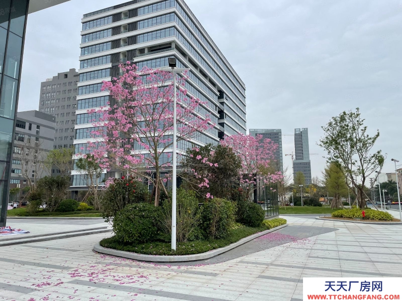 (出租) 越秀 地铁科技园区 可生产 可办公 费用低